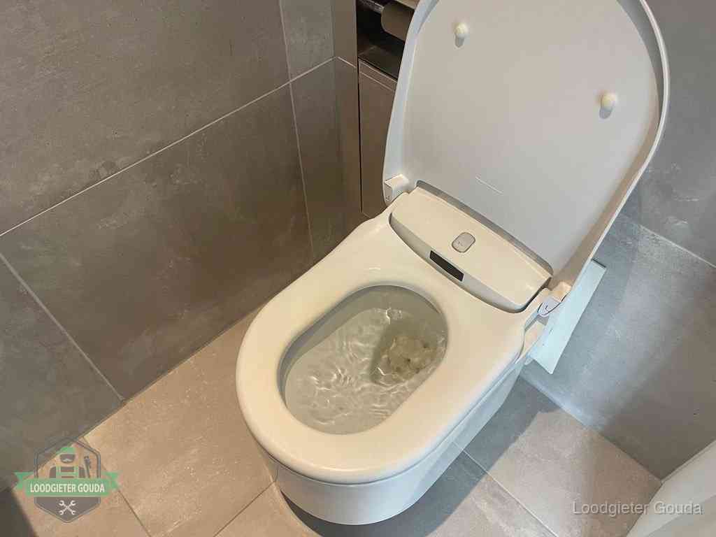 Wc Verstopt In Gouda Wc Verstopt In Gouda